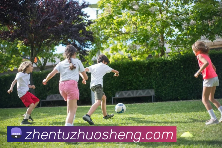 j9真人游戏第一品牌服务体系